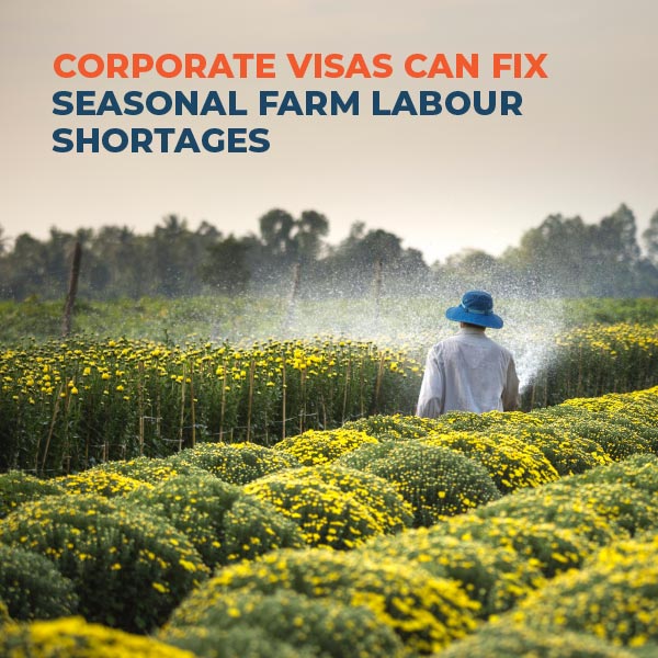 NEWS CORPORATE VISAS CAN FIX SEASONAL FARM LABOUR SHORTAGES Xpatweb