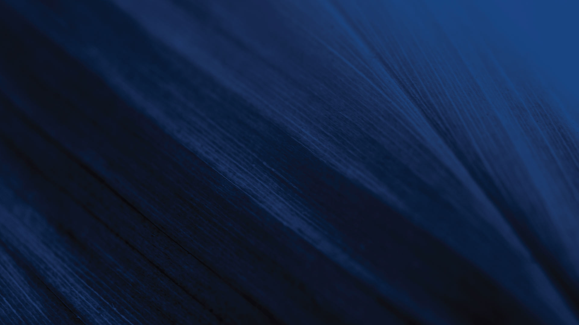 xpatweb-standard-bank-learning-hub-xpatweb