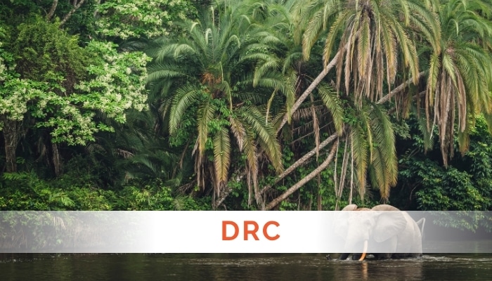 DRC